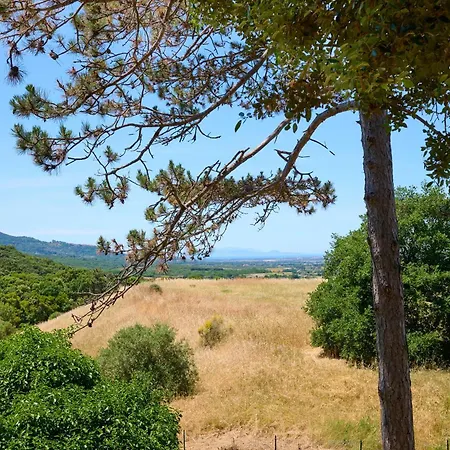 House Cesari